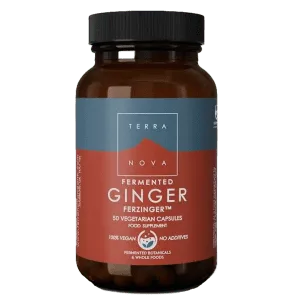 Terra Nova - Fermented Ginger
