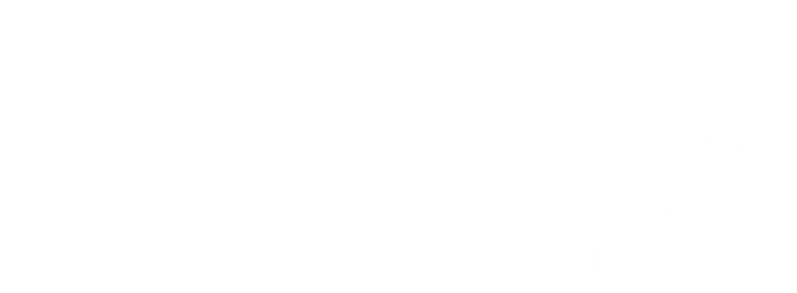Dr Wolz Company Logo